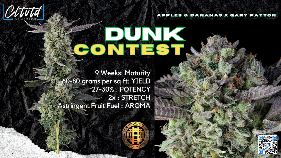 Dunk Contest #2